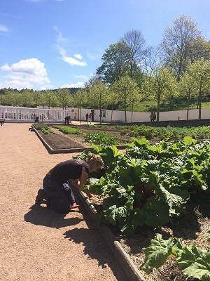 Gardener S Cafe スウェーデンのガーデナーズファッション