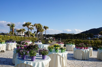 21日宮崎3月 320.jpg