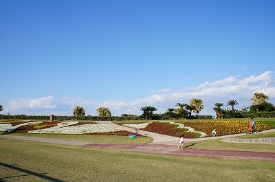 21日宮崎3月 369.jpg