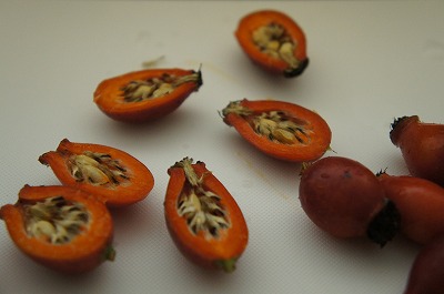 Aӻރo 075.jpg