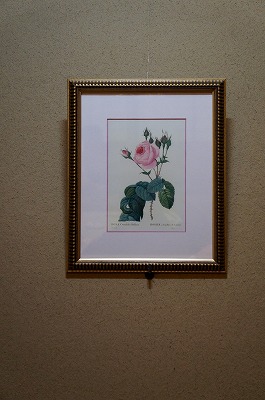 c 009.jpg