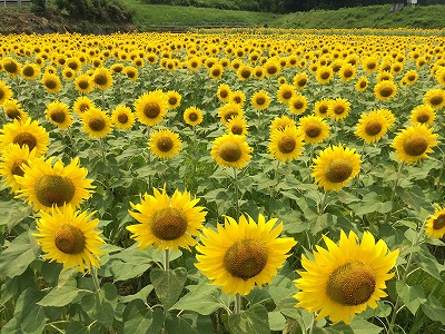 ǂ 077.jpg