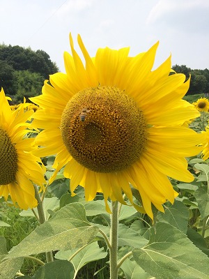 ǂ 084.jpg