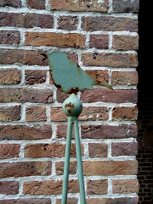 ǂ 105.jpg