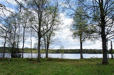 ̗k 1163.jpg