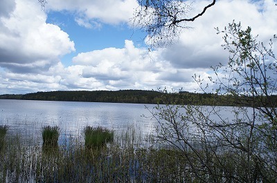 ̗k 1166.jpg