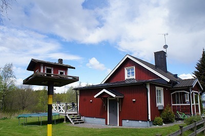 ̗k 1182.jpg