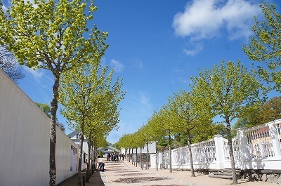 ̗k 1322.jpg