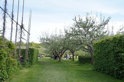 ̗k 728.jpg