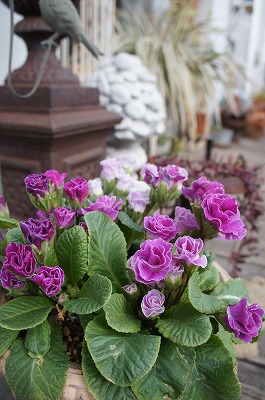 ӂセ 052.jpg
