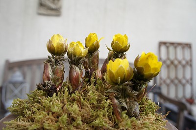 ӂセ 074.jpg