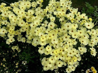 ݂₴ 489.jpg