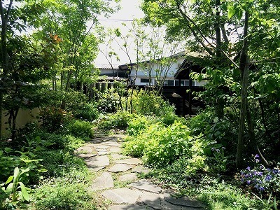 オリーブ 463.jpg