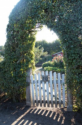 f}[N 1057.jpg