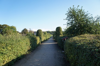 f}[N 1060.jpg