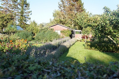 f}[N 1077.jpg