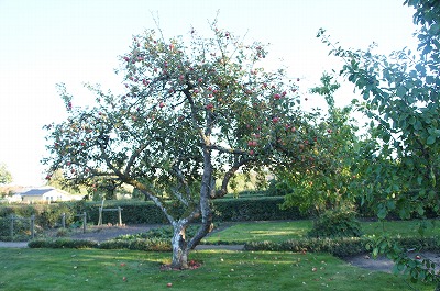 f}[N 1084.jpg