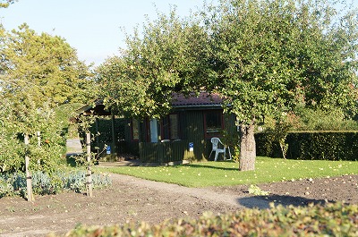 f}[N 1096.jpg