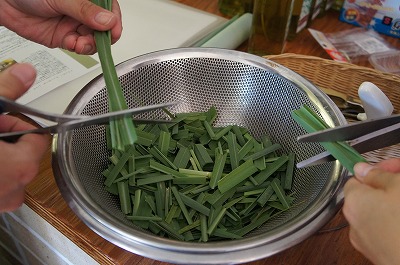 n[oCt 070.jpg