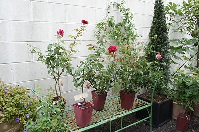 o 022.jpg