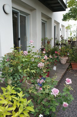 o 023.jpg