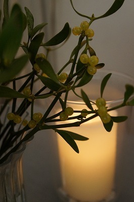 hM 008.jpg