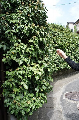 s 122.jpg