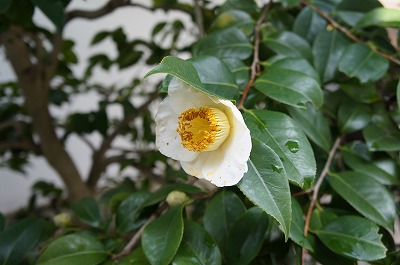 s 374.jpg
