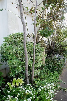 k 024.jpg