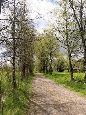 k 1045.jpg