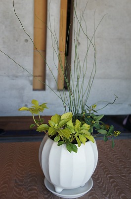 G 008.jpg