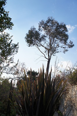 Γc 015.jpg
