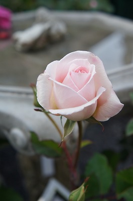 KN 016.jpg