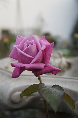 KN 083.jpg