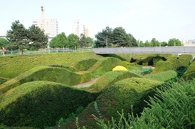 QOPSCMX 045.jpg