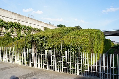 QOPSCMX 064.jpg