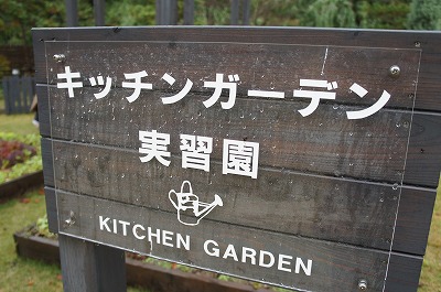 KG善通寺 043.jpg