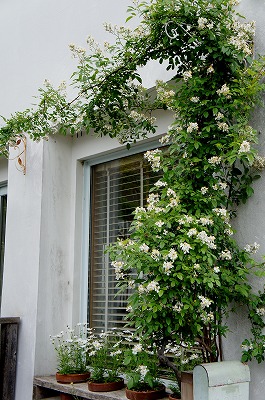 GARDENSGARDEN 067.jpg