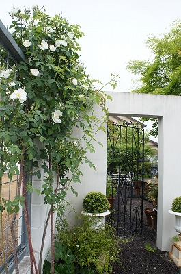 GARDENSGARDEN 099.jpg