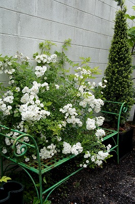 GARDENSGARDEN 132.jpg
