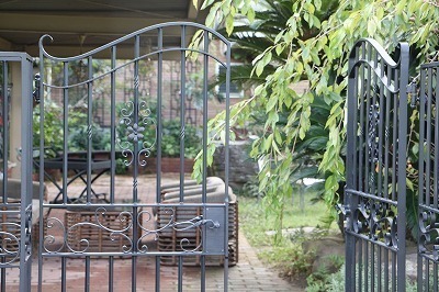 IMG_1803-thumbnail2.jpg