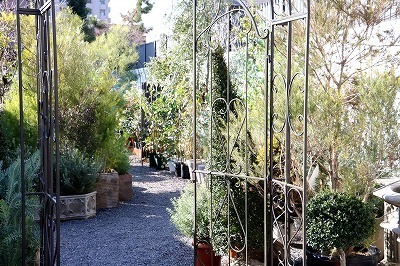 IMG_1968.jpg