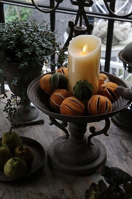 IMG_2121.jpg