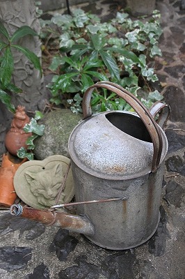 IMG_2168.jpg