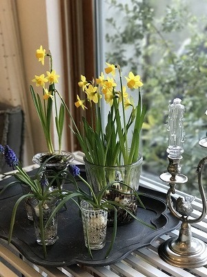 IMG_3828.jpg