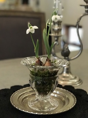 IMG_3856.jpg