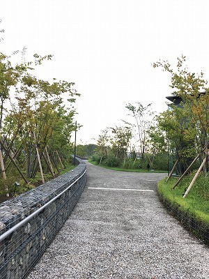 IMG_6127.jpg