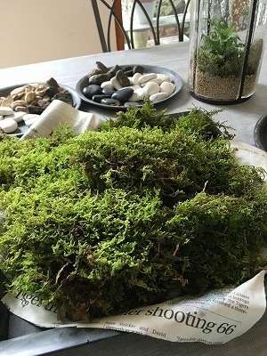 IMG_7063.jpg