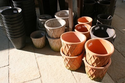IMG_7300.jpg