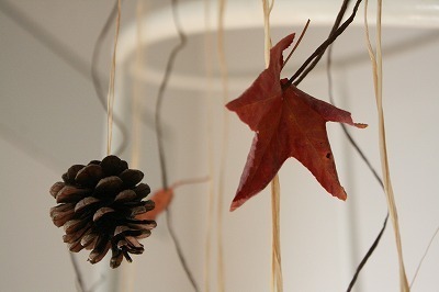 IMG_7525.jpg